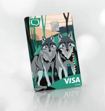 Karta Visa Credit